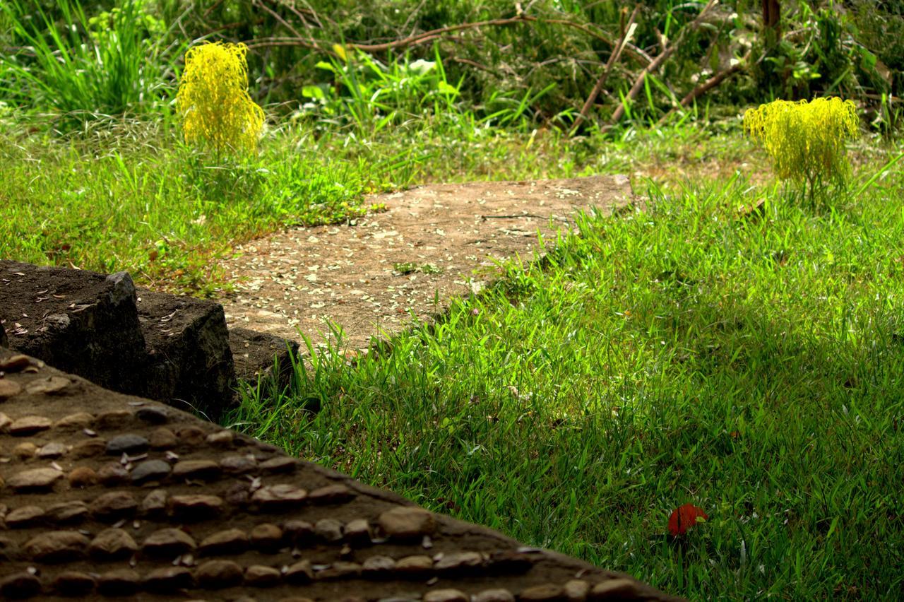 Pepper Hills Cottages Ела Екстериор снимка