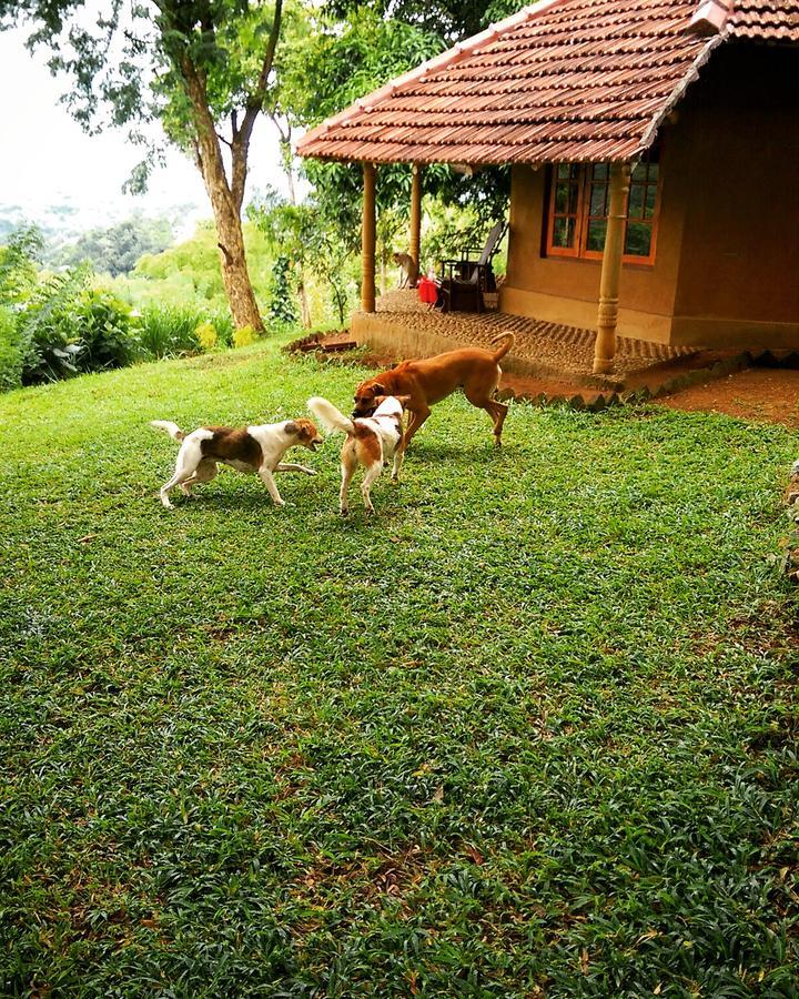 Pepper Hills Cottages Ела Екстериор снимка